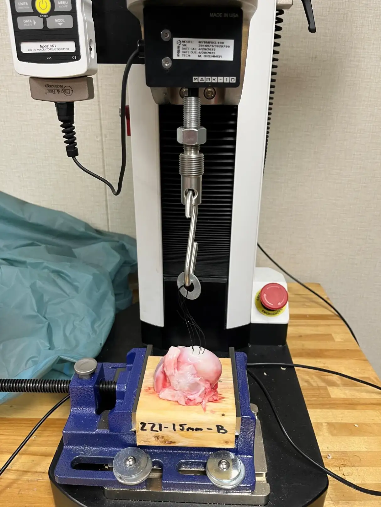 Testing mechanical performance of Chondrograft